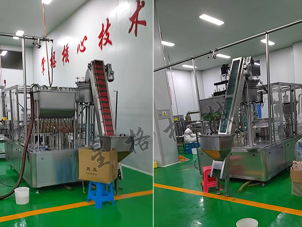 吸嘴式醬料包裝機可以包裝那種醬料(圖2) 吸嘴式醬料包裝機可以包裝那種醬料(圖2)